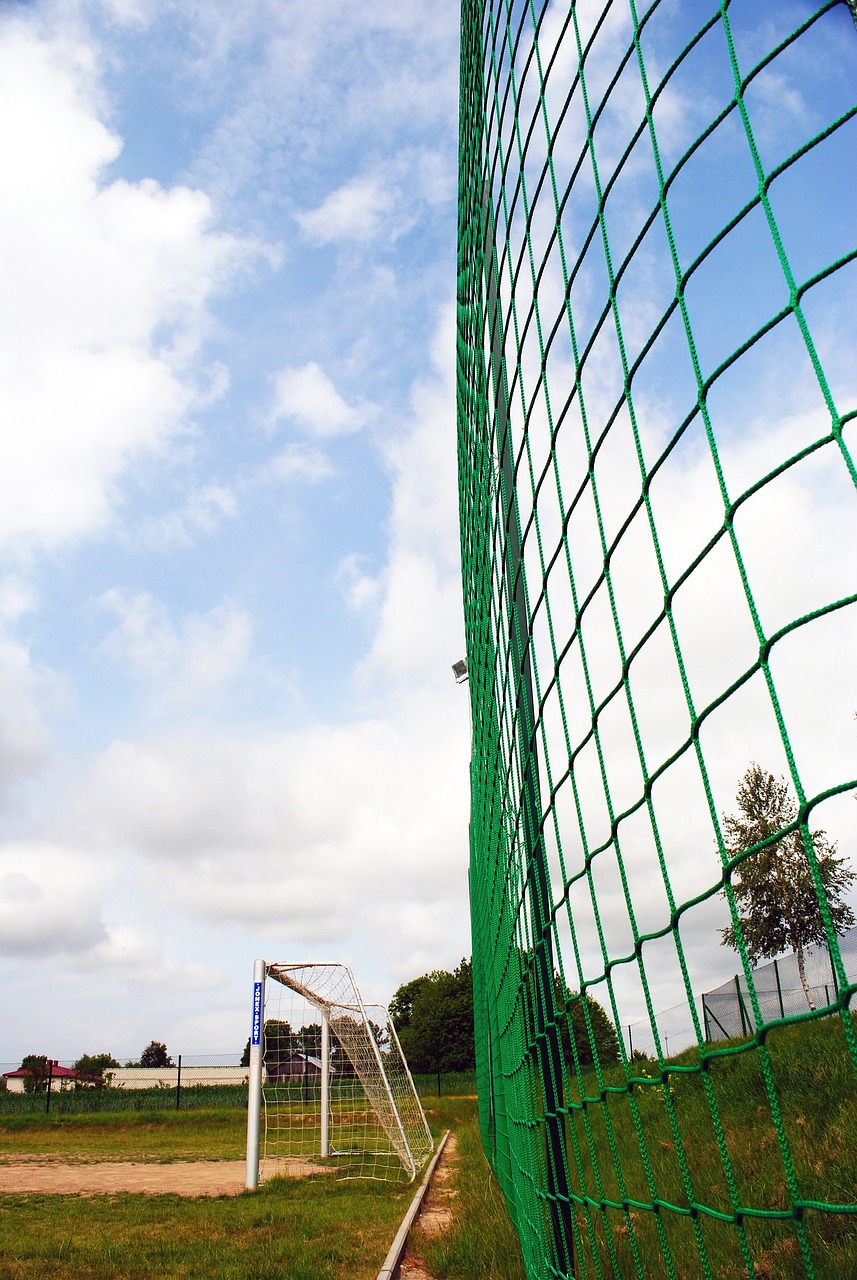 赛季的进行 赛季的进行