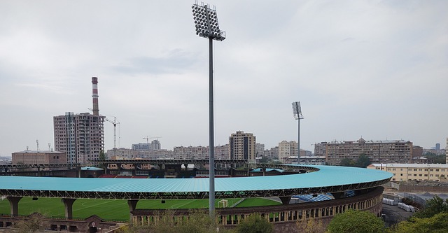 外援的角色 外援的角色