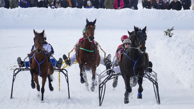 在數據方面 在數據方面