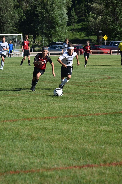 將會在未來 將會在未來