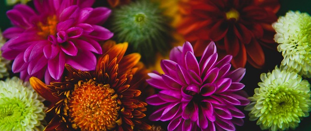 而曼聯則需 而曼聯則需